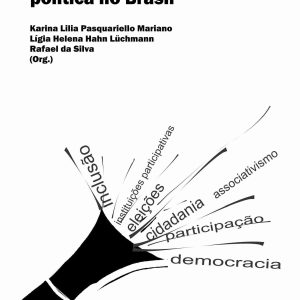Estudos sobre a participação política no Brasil